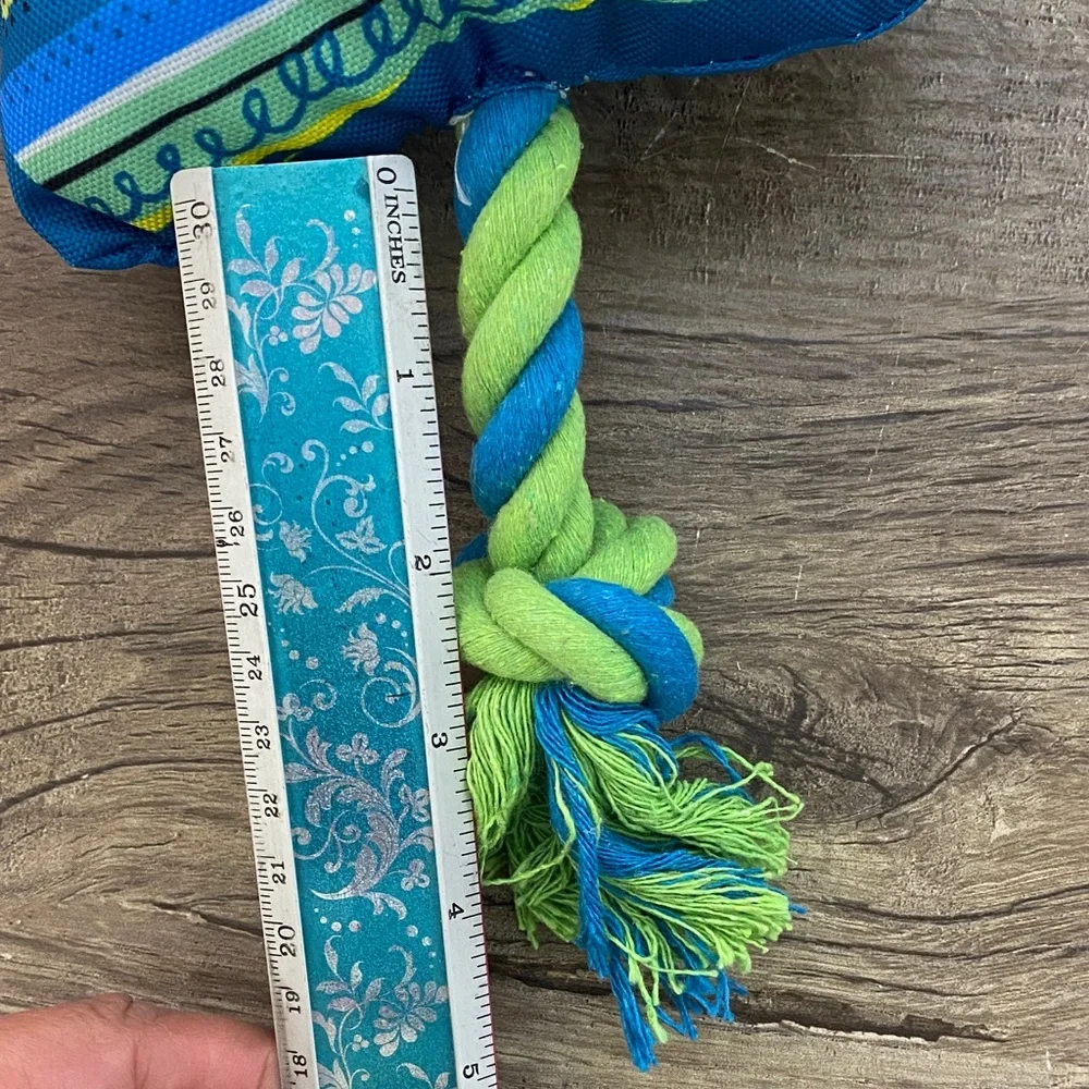 Blue and Green Star-Shaped Dog Toy